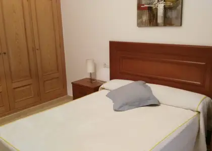 Alquiler de piso de un dormitorio con garaje en Manzanares