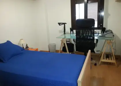 Duplex de 3 dormitorios. Muy centrico. Amplio y luminoso en Manzanares