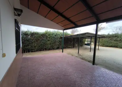 Finca Rústica en Valdepeñas, Carretera de Cozar en Valdepeñas