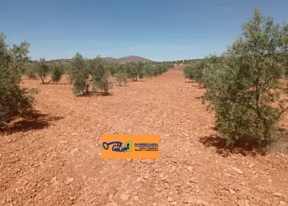 Finca Rústica en Valdepeñas, Carretera Santa Cruz en Valdepeñas