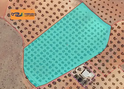 Finca Rústica en Valdepeñas, Carretera Santa Cruz en Valdepeñas