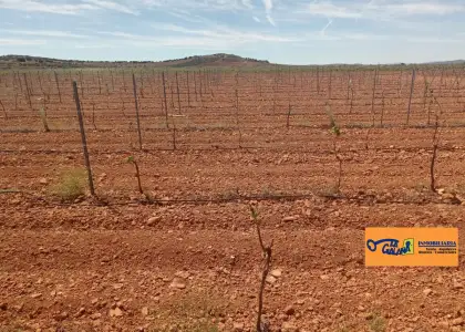 Finca Rústica en Valdepeñas, Carretera Santa Cruz en Valdepeñas