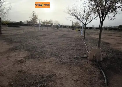 Finca Rústica en Valdepeñas, Nacional - IV en Valdepeñas