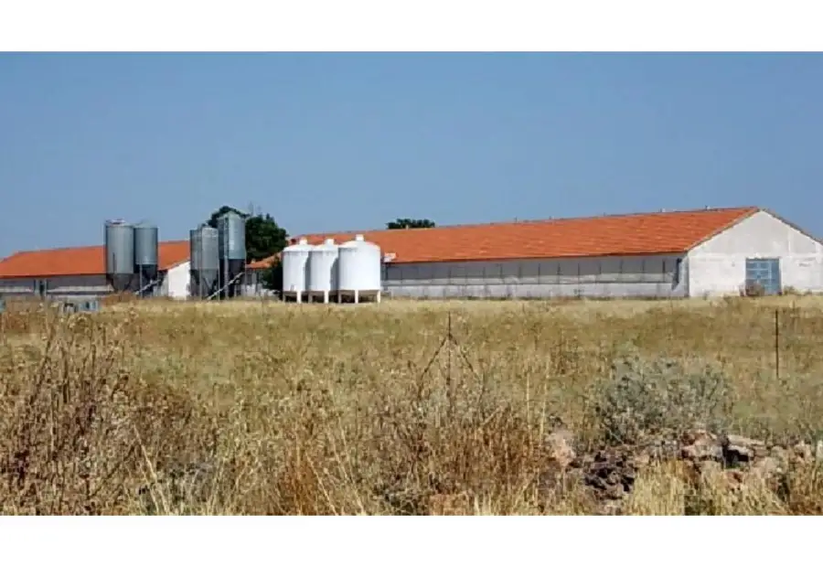 Finca rústica en venta en Daimiel en Daimiel