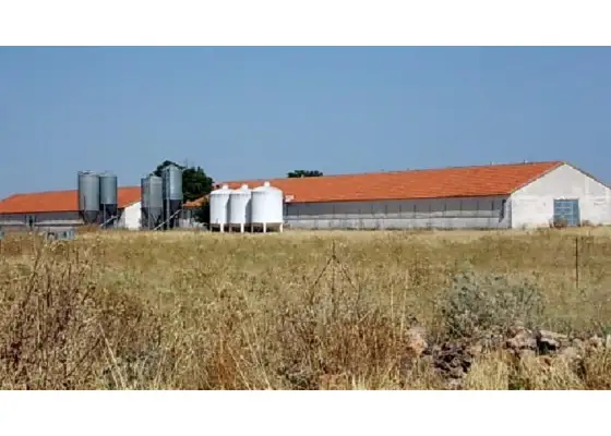 Finca rústica en venta en Daimiel
