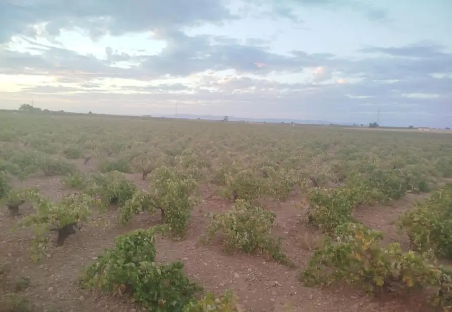 Finca rústica en venta en Manzanares en Manzanares