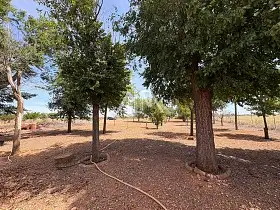 Finca Rústica Venta Manzanares, Manzanares