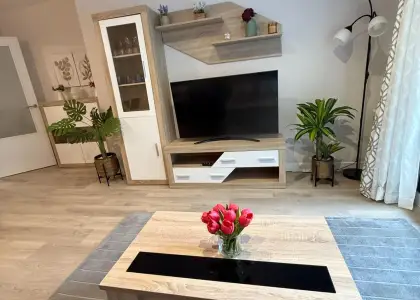 Inmohouse alquila (ref f169) en Albacete