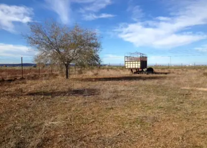 PARCELA RUSTICA en venta en Valdepeñas