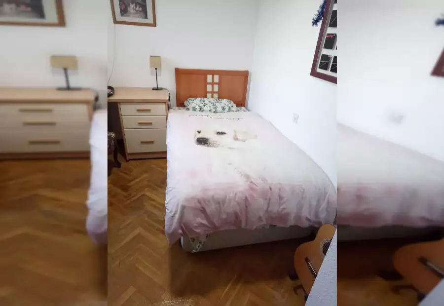 Se alquila habitación en piso compartido de 3 habitaciones en Rosas en Madrid