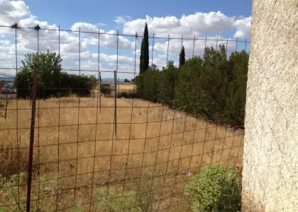 se vende parcela rustica en Manzanares