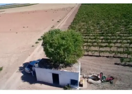 Terreno en venta en Manzanares