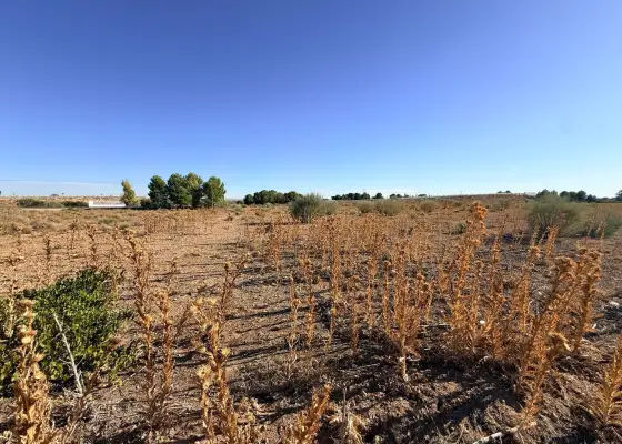 Terreno / Urbanizable En Venta SANTA ANA 1, Socuéllamos